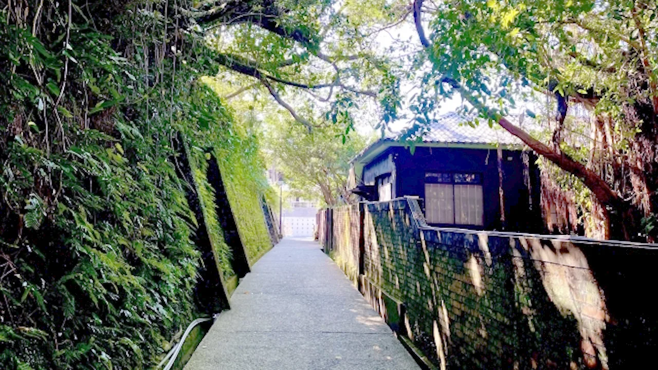 黄金博物館（金瓜石）の歩道